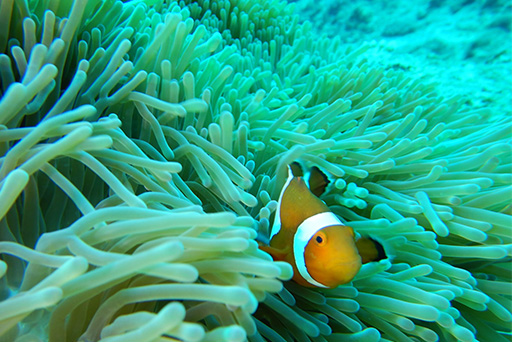 宮古島28Apr-4May.2022